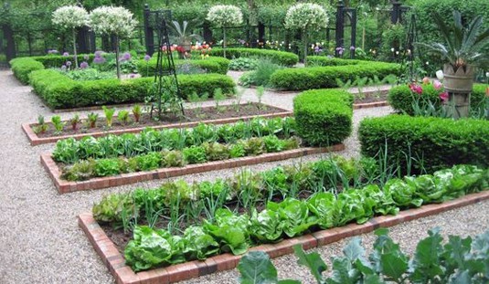 Square Veggie Beds - The 