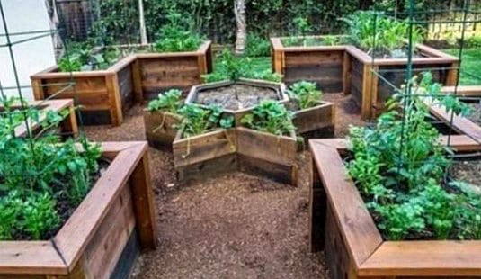 Star shaped Raised Bed - The 